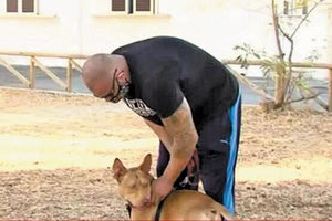 Ο σκύλος στην Κρήτη, τον οποίο βασάνισε απάνθρωπα ο ιδιοκτήτης του