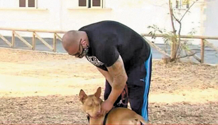 Ο σκύλος στην Κρήτη, τον οποίο βασάνισε απάνθρωπα ο ιδιοκτήτης του