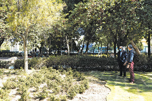 H ανάπλαση του πάρκου Γεωργιάδη, Αναστασάκης - Λαμπρινός