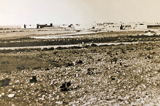 Η φωτογραφία της ημέρας: Ιεράπετρα στα 1870