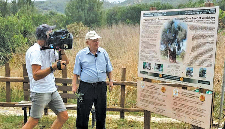 Γερμανοί γυρίζουν ντοκιμαντέρ για τα μνημειακά ελαιόδεντρα της Κρήτης