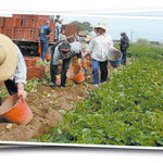Δείτε όλα τα άρθρα από το χρήστη Γιώργος Μαρκατάτος
