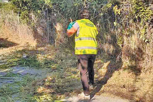 συντήρηση πράσινο