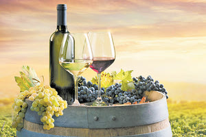 ΗΡΑΚΛΕΙΟ Μια από τις καλύτερες χρονιές η φετινή για τα σταφύλια