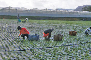 «Υγειονομικές βόμβες» σε σπίτια της ενδοχώρας
