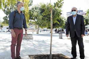 Λαμπρινός πράσινο