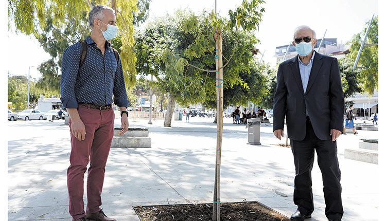 Λαμπρινός πράσινο
