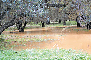 Απίστευτες οι καταστροφές σε δρόμους και καλλιέργειες του Δήμου Μινώα Πεδιάδος