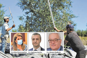 προσοχή όσων συμμετέχουν στην ελαιοσυγκομιδή εφιστούν οι ειδικοί