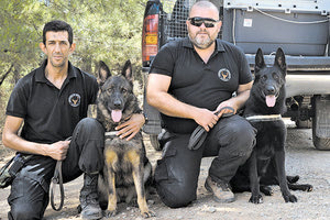 Η Κρητική Ομάδα Σκύλων Ανίχνευσης Δηλητηριασμένων Δολωμάτων δραστηριοποιείται στο νησί από τις 21 Ιουλίου 2016