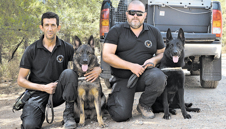 Η Κρητική Ομάδα Σκύλων Ανίχνευσης Δηλητηριασμένων Δολωμάτων δραστηριοποιείται στο νησί από τις 21 Ιουλίου 2016