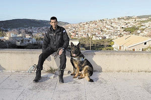 Ο κ. Σπ. Νηστικάκης και η Ντάικα έχει εκπαιδευτεί να εντοπίζει τα δηλητήρια, αλλά και τα δηλητηριασμένα ζώα.