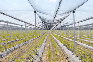 θερμοκήπια