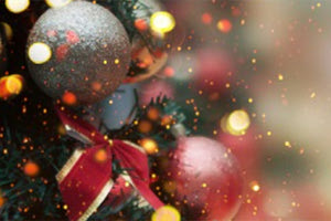 Ο Γιάννης Τσερεβελάκης και η Άσπα Κυρίμη, διαβάζουν σε χριστουγεννιάτικη διαδικτυακή συνάντηση