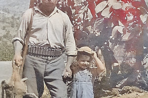 Η φωτογραφία της ημέρας