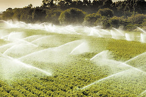 ΤΟ ΣΧΕΔΙΟ ΤΗΣ ΤΕΧΝΙΚΗΣ ΥΠΗΡΕΣΙΑΣ: Η έλλειψη κονδυλίων “στερεύει” την άρδευση