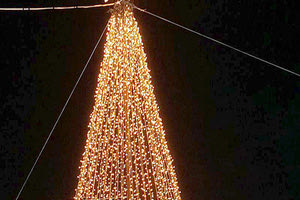 Η ΦΩΤΑΓΩΓΗΣΗ ΤΟΥ ΔΕΝΤΡΟΥ ΣΤΟΝ ΔΗΜΟ ΜΑΛΕΒΙΖΙΟΥ