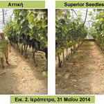 Δείτε όλα τα άρθρα από το χρήστη Γιάννης Φυσαράκης