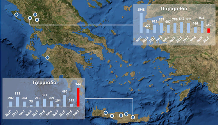 Ύψη βροχόπτωσης κατά τη διάρκεια των φθινοπωρινών μηνών στην Παραμυθιά Θεσπρωτίας και το Τζερμιάδο Λασιθίου για τη χρονική περίοδο 2010-2020