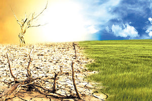 κλιματική αλλαγή