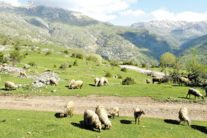 εκτάσεις βοσκοτόπων