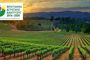 Νέα προγράμματα