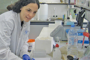 Η Δρ Χριστίνα Παυλούδη, ερευνήτρια στο Ινστιτούτο Θαλάσσιας Βιολογίας, Βιοτεχνολογίας & Υδατοκαλλιεργειών στο Ελληνικό Κέντρο Θαλασσίων Ερευνών