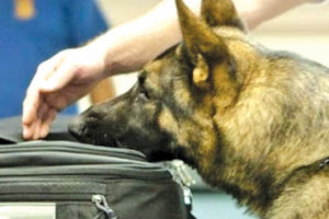 Μασκ, ο ειδικά εκπαιδευμένος σκύλος του Κεντρικού Λιμεναρχείου Ηρακλείου