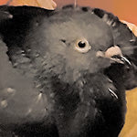 Δείτε όλα τα άρθρα από το χρήστη Ελένης Αρμάου