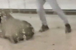 Κρητικός γαμπρός είναι ο 53χρονος σταθμάρχης που δέχθηκε την κτηνώδη επίθεση από δύο νεαρούς στον σταθμό της Ομόνοιας επειδή τους έκανε παρατήρηση να φορέσουν μάσκα