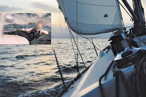 Συνελήφθη ο προπονητής που φέρεται ότι πρν από εννέα χρόνια βίασε 11χρονη τότε αθλήτρια της ιστιοπλοΐας