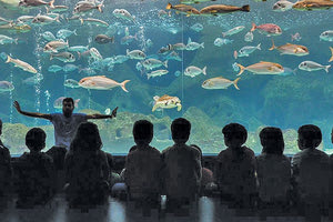 e-ξεναγήσεις για μαθητές από το Ενυδρείο Κρήτης