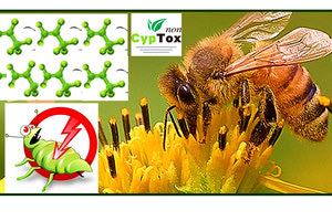 ITE βιοεντομοκτόνα που δεν επηρεάζουν τις μέλισσες