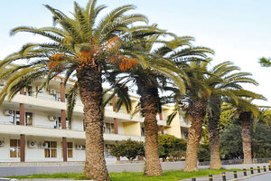 Βενιζέλειο