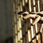 Δείτε όλα τα άρθρα από το χρήστη Εμμανουήλ Καναβάκης