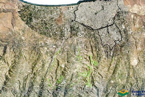 δασικούς χάρτες