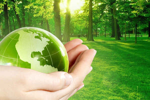 περιβαλλοντική συνείδηση