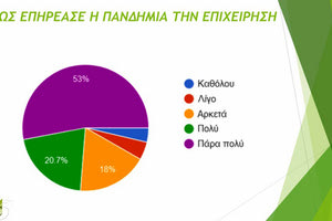 Η πανδημία βλάπτει σοβαρά και τη γυναίκεια επιχειρηματικότητα σύμφωνα με έρευνα που πραγματοποίησε ο Αναπτυξιακός Σύλλογος Γυναικών Επιχειρηματιών Κρήτης