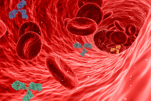 χοληστερίνη