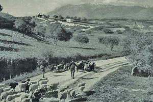 Η φωτογραφία της ημέρας: Στον δρόμο της Τυλίσσου προς τον Ψηλορείτη προπολεμικά