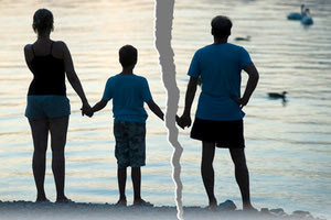 συνεπιμέλεια