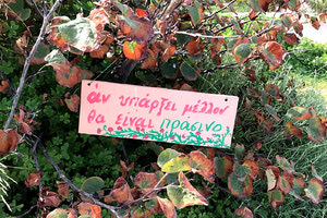 Φύση - πράσινο