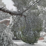 Δείτε όλα τα άρθρα από το χρήστη Λευτέρης Μιχελάκης