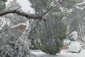 Στα «υπέρ βόρεια- βορειοανατολικά» προάστια των Αθηνών