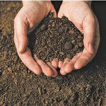 Δείτε όλα τα άρθρα από το χρήστη ΧΡΗΣΤΟΣ ΚΑΡΑΓΙΑΝΝΗΣ