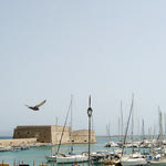 Δείτε όλα τα άρθρα από το χρήστη Στέλιος Βισκαδουράκης