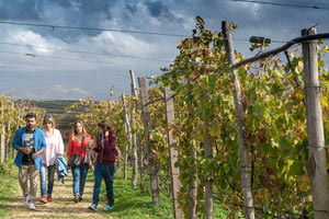οινοτουρισμός