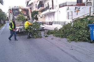 καθαριοτητα κλαδιων