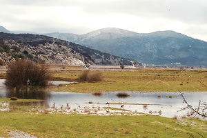 Το Οροπέδιο Λασιθίου, περιοχή NATURA 2000, καλωσορίζει, τους πελαργούς