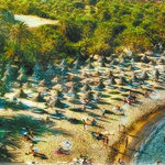 Δείτε όλα τα άρθρα από το χρήστη Αλέξανδρος Αποστολάκης